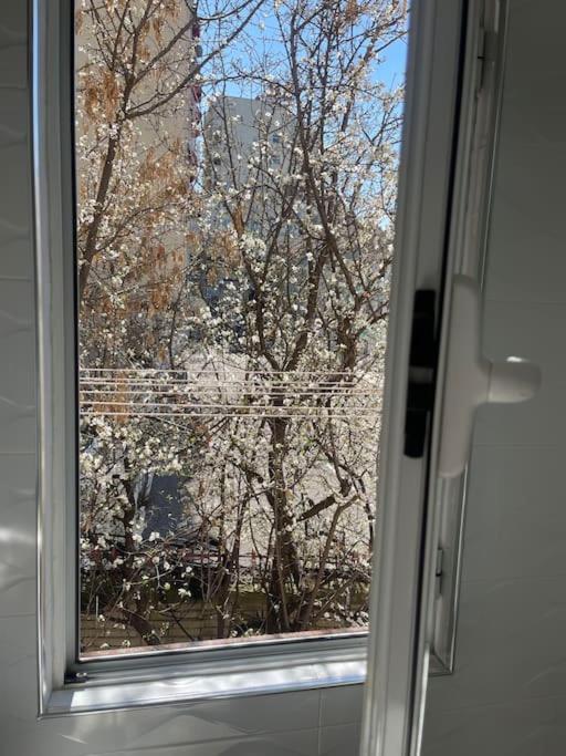 Warm Apartment In The Center Of Tirana City Dış mekan fotoğraf